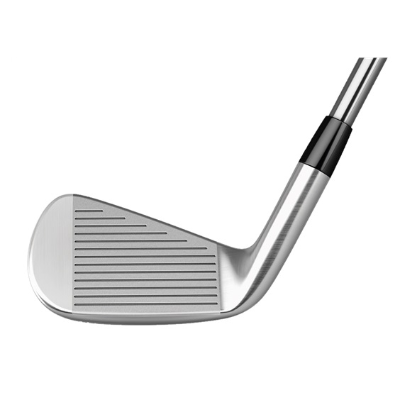 TaylorMade P760 Herren Eisen