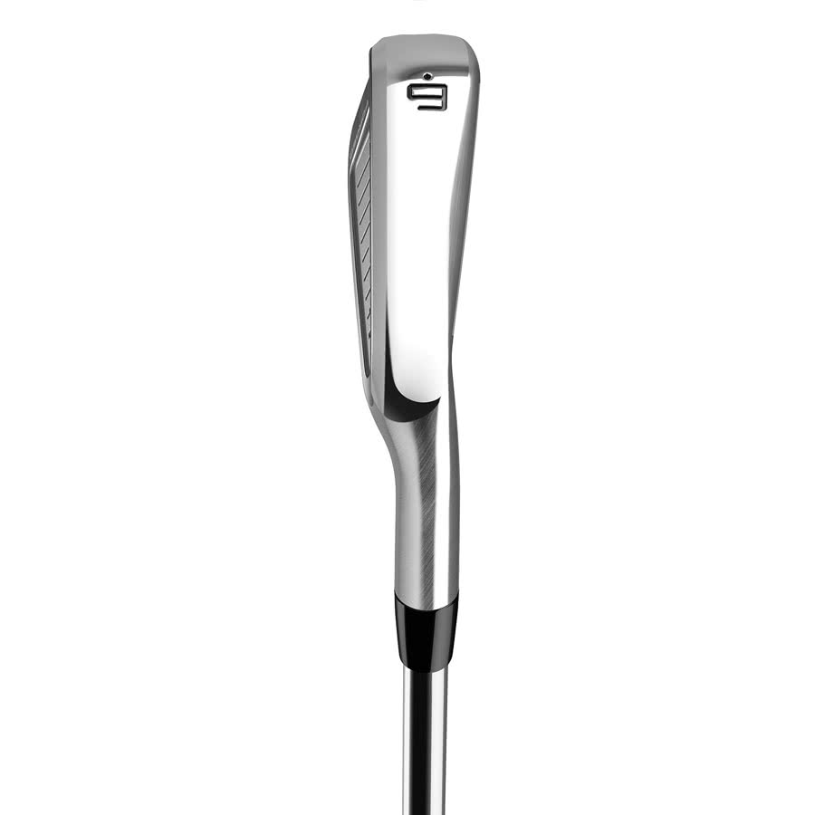 TaylorMade P760 Herren Eisen