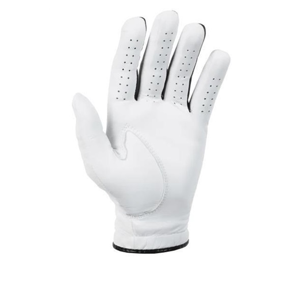 Titleist Players Flex Cedet Herren Golfhandschuh, wiess