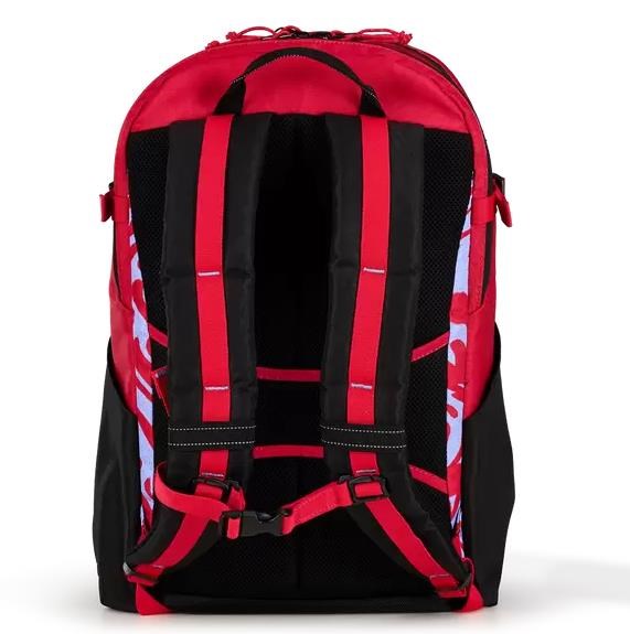 Ogio Alpha 25L Rucksack, melting geos