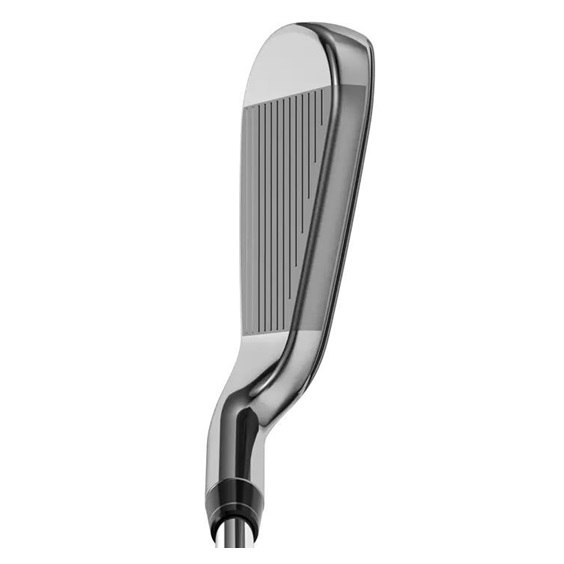 Callaway Big Bertha Herren Eisen, Graphit