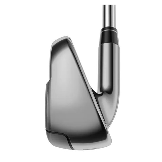 Callaway Big Bertha Herren Eisen, Graphit