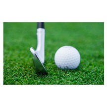 Callaway Apex MB 24 Herren Eisen