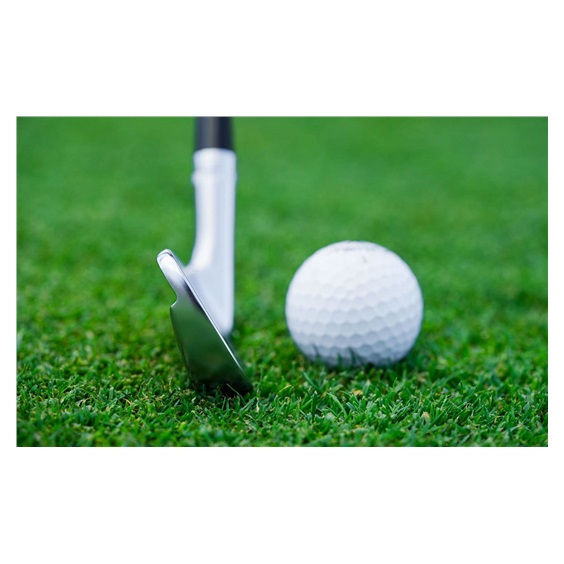 Callaway Apex MB 24 Herren Eisen