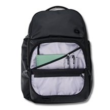 Ogio Pace Pro 25L Rucksack, stormy weather