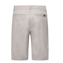 Oakley Performance Terrain Herren Shorts, grau