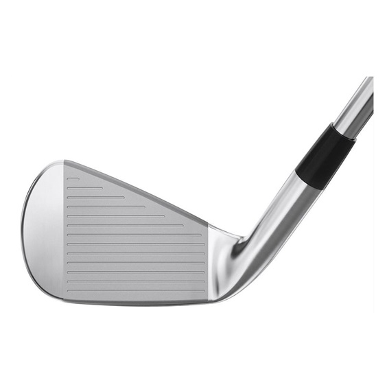 Mizuno Pro 245 Herren Eisen, Stahl
