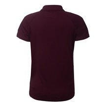 2117 of Sweden Fröseke Damen Poloshirt, dark plum