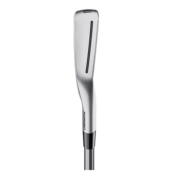 TaylorMade P•UDI Utility Herren Eisen, Graphit