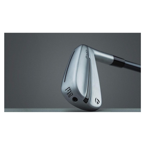 TaylorMade P•UDI Utility Herren Eisen, Graphit