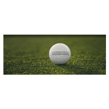 Titleist Pro V1x Enhanced Alignment Golfbälle