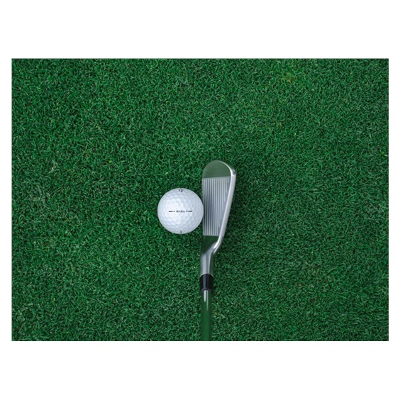 TaylorMade P770 Herren Eisen, Stahl