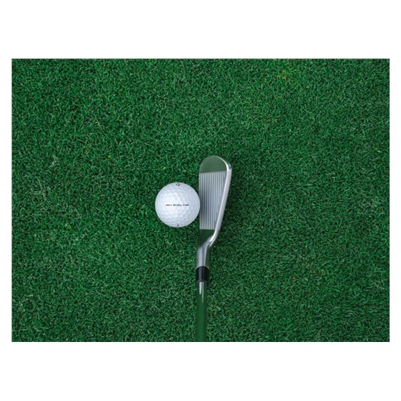 TaylorMade P7CB Herren Eisen, Stahl