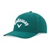 Callaway Performance Pro Golf Cap, grün