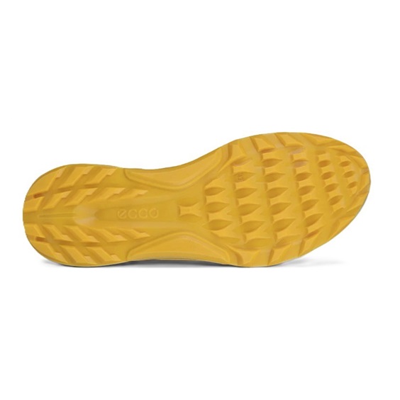 Ecco Biom C4 Herren Golfschuhe, wild dove sunrise