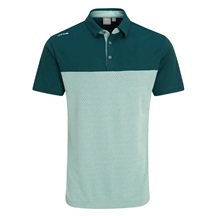 Ping Hall Herren Poloshirt, grün