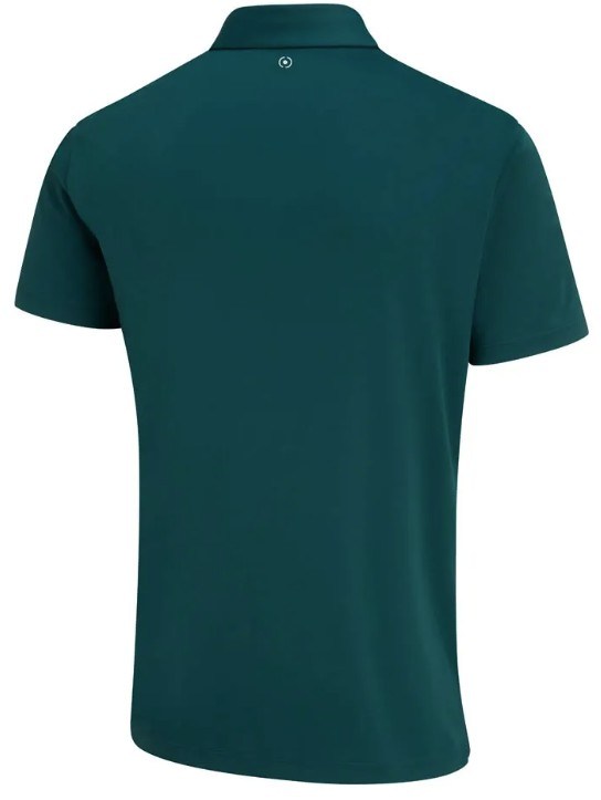 Ping Hall Herren Poloshirt, grün