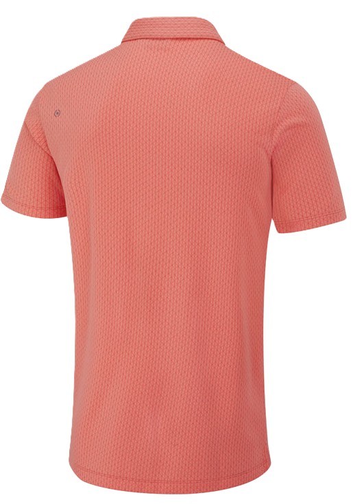 Ping Hershel Herren polo, dubarry multi