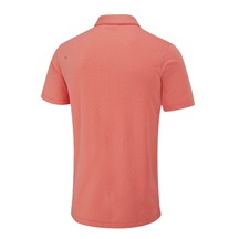 Ping Hershel Herren polo, dubarry multi