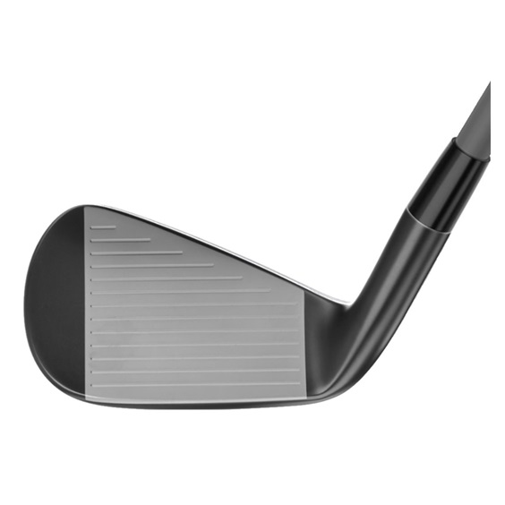 Mizuno JPX 925 Forged Black Herren Eisen, Stahl
