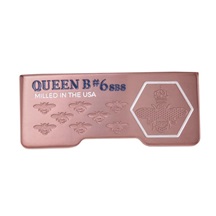 Bettinardi Queen B 6 Slotback Slant putter