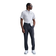 Nike Dri-Fit Tour Herren Poloshirt, photon dust/black