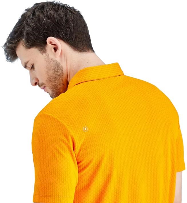 PING Hershel Herren Poloshirt, sunburst multi