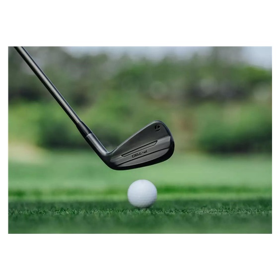 TaylorMade P790 Shadowfall Herren Eisen, Stahl