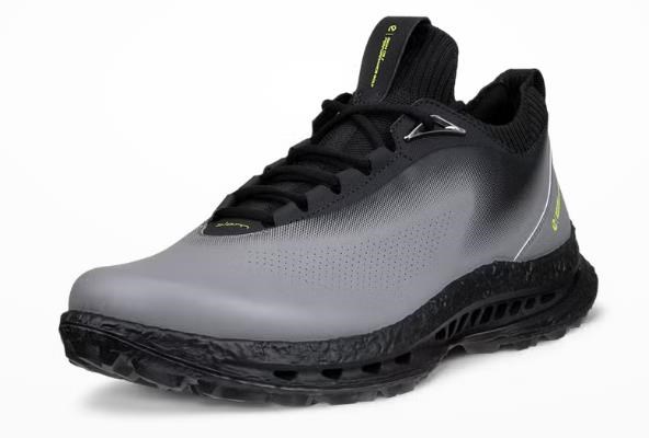 Ecco Biom C5 Herren Golfschuhe, steel
