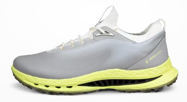 Ecco Biom C5 Herren Golfschuhe, wild dove