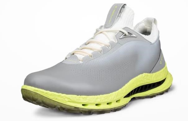 Ecco Biom C5 Herren Golfschuhe, wild dove