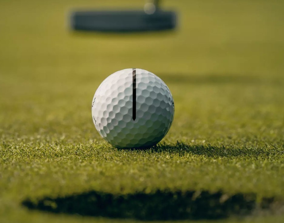 Titleist Pro V1 Performance Alignment Pink Golfbälle