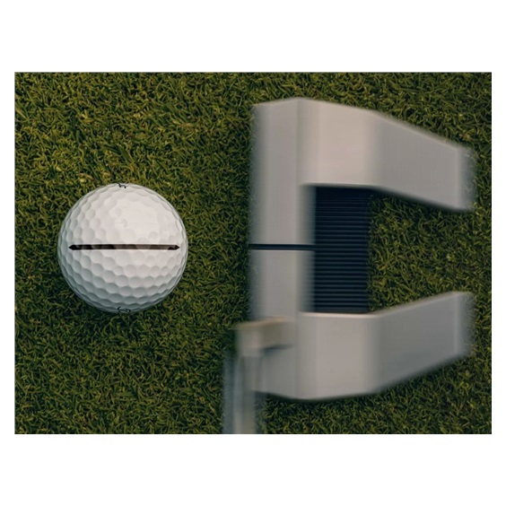 Titleist Pro V1x Performance Alignment Bue Golfbälle