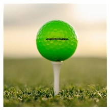 Titleist Velocity Golfbälle