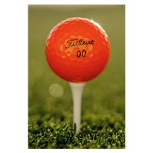 Titleist Velocity Golfbälle