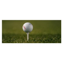 Titleist TruFeel Golfbälle