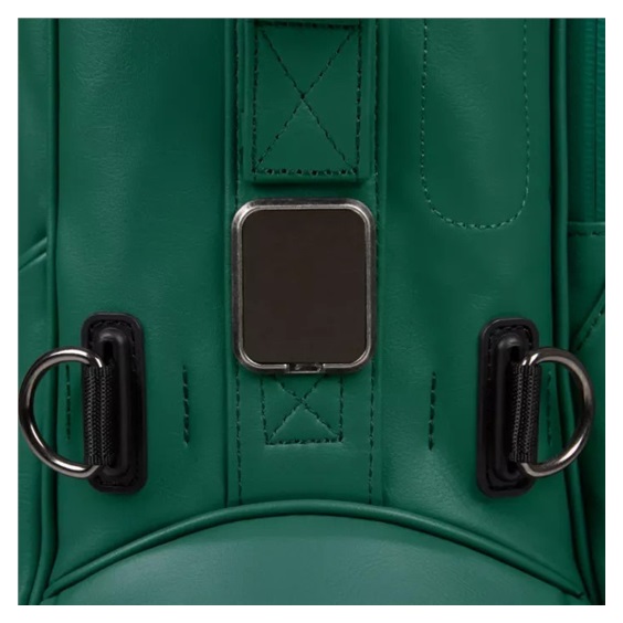 Titleist Linkslegend Members Standbag, grün