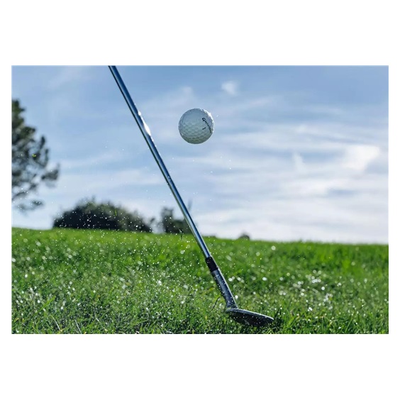 TaylorMade TP5 Golfbälle