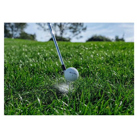 TaylorMade TP5 Golfbälle