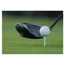 TaylorMade Qi4D Herren Driver