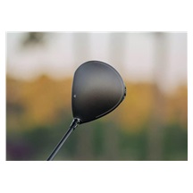 TaylorMade Qi4D Herren Driver