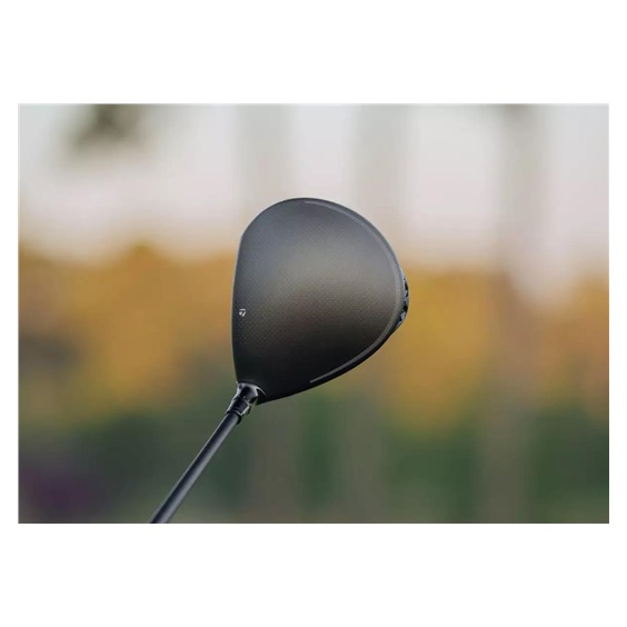 TaylorMade Qi4D Herren Driver