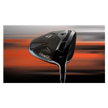TaylorMade Qi4D LS Herren Driver
