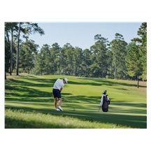 TaylorMade Qi Max Herren Eisen, Graphit