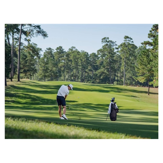 TaylorMade Qi Max Herren Eisen, Graphit