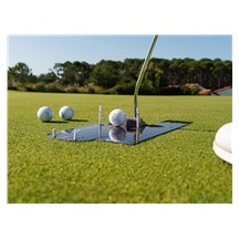 Wellputt Wellvision Plus