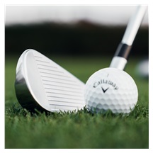 Callaway Quantum Max OS Damen Eisen