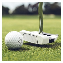 Odyssey Ai-DUAL Jailbird Mini DB Putter