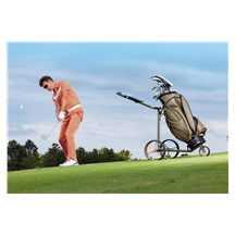 JuCad Carbon Verde Rosé 3.0  Elektrotrolley