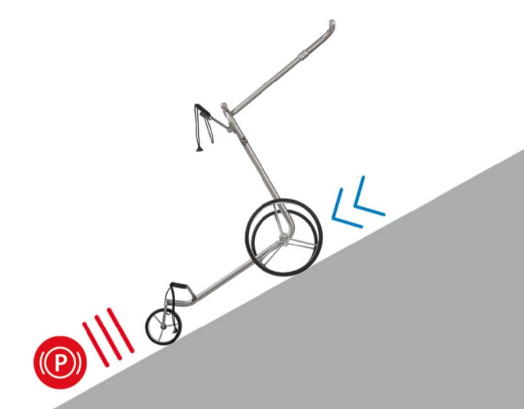 JuCad Carbon Verde Rosé 3.0  Elektrotrolley